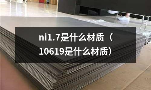 ni1.7是什么材質（10619是什么材質）