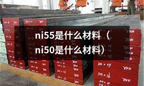 ni55是什么材料（ni50是什么材料）