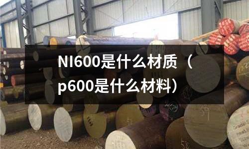 NI600是什么材質（p600是什么材料）
