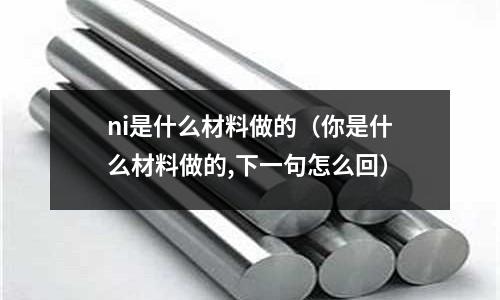 ni是什么材料做的(你是什么材料做的,下一句怎么回)