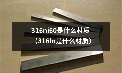316ni60是什么材質(316ln是什么材質)