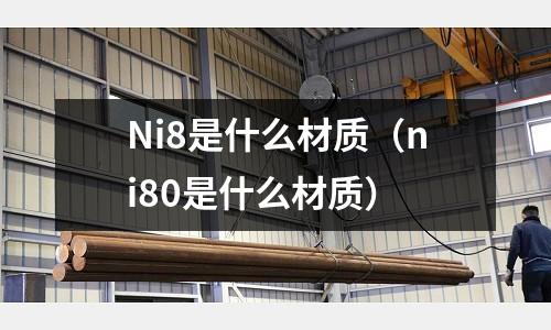 Ni8是什么材質（ni80是什么材質）