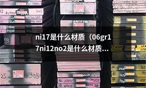 ni17是什么材質（06gr17ni12no2是什么材質）