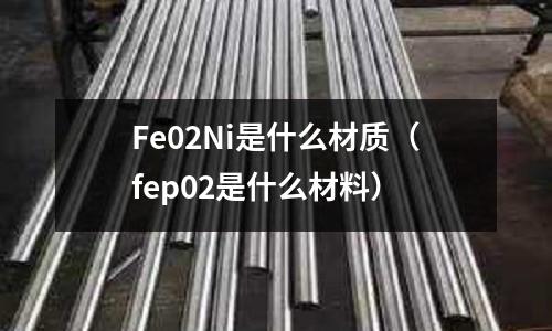 Fe02Ni是什么材質(zhì)（fep02是什么材料）