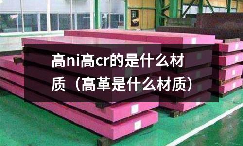 高ni高cr的是什么材質(高革是什么材質)