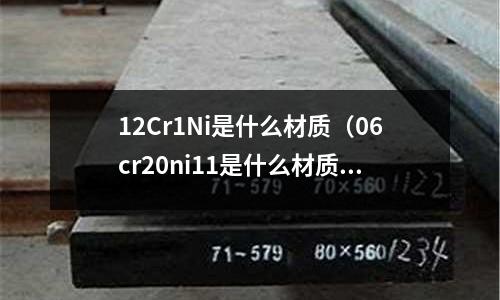 12Cr1Ni是什么材質（06cr20ni11是什么材質）