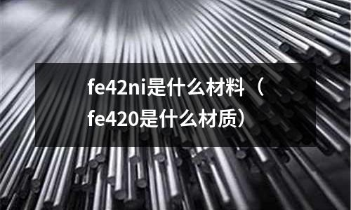 fe42ni是什么材料(fe420是什么材質)
