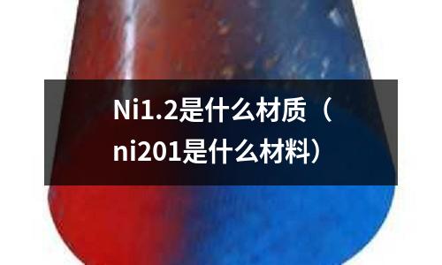 Ni1.2是什么材質（ni201是什么材料）