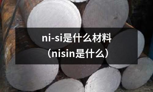 ni-si是什么材料(nisin是什么)
