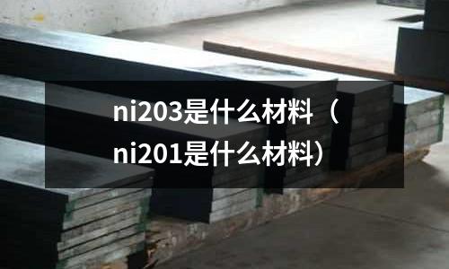 ni203是什么材料（ni201是什么材料）