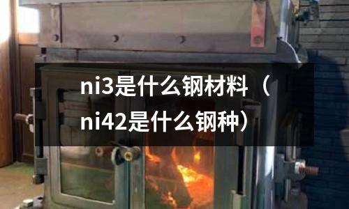 ni3是什么鋼材料（ni42是什么鋼種）