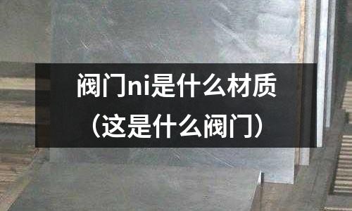 閥門ni是什么材質(zhì)（這是什么閥門）