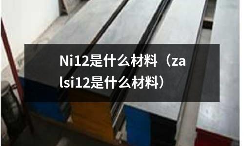Ni12是什么材料（zalsi12是什么材料）