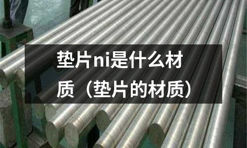 墊片ni是什么材質（墊片的材質）