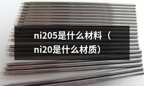 ni205是什么材料（ni20是什么材質）