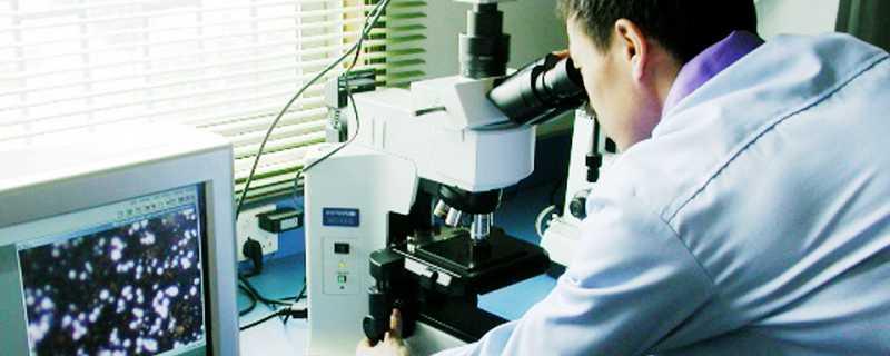 20CrMnTi是什么材料(20CrMnTi合金鋼材質介紹)